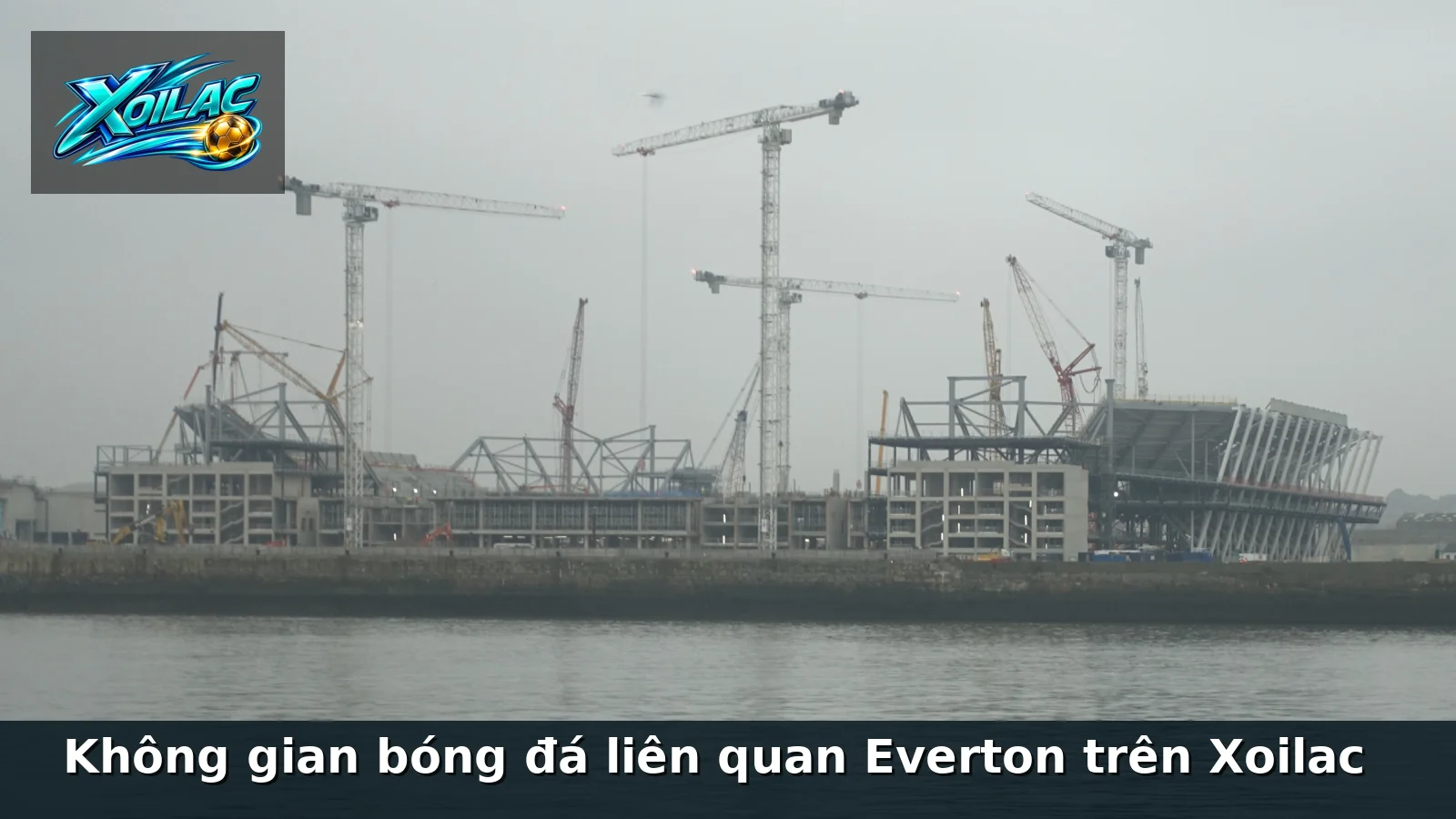 Không gian bóng đá liên quan Everton trên Xoilac Không gian bóng đá liên quan Everton trên Xoilac