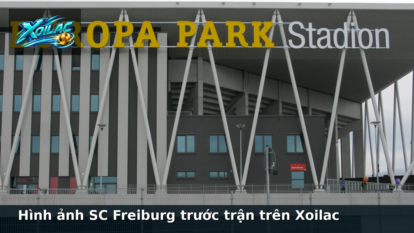 Hình ảnh SC Freiburg trước trận trên Xoilac