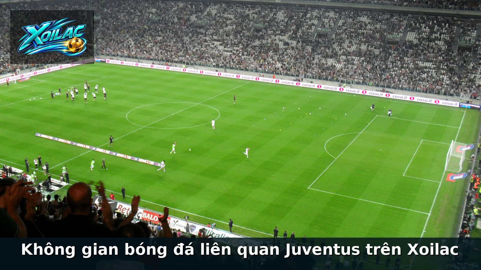 Không gian bóng đá liên quan Juventus trên Xoilac Không gian bóng đá liên quan Juventus trên Xoilac
