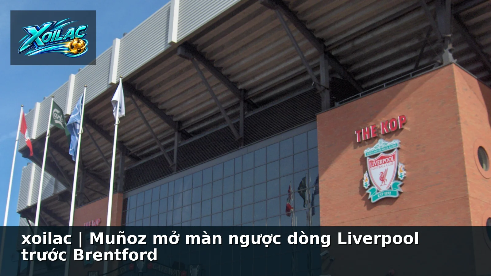 xoilac | Muñoz mở màn ngược dòng Liverpool trước Brentford