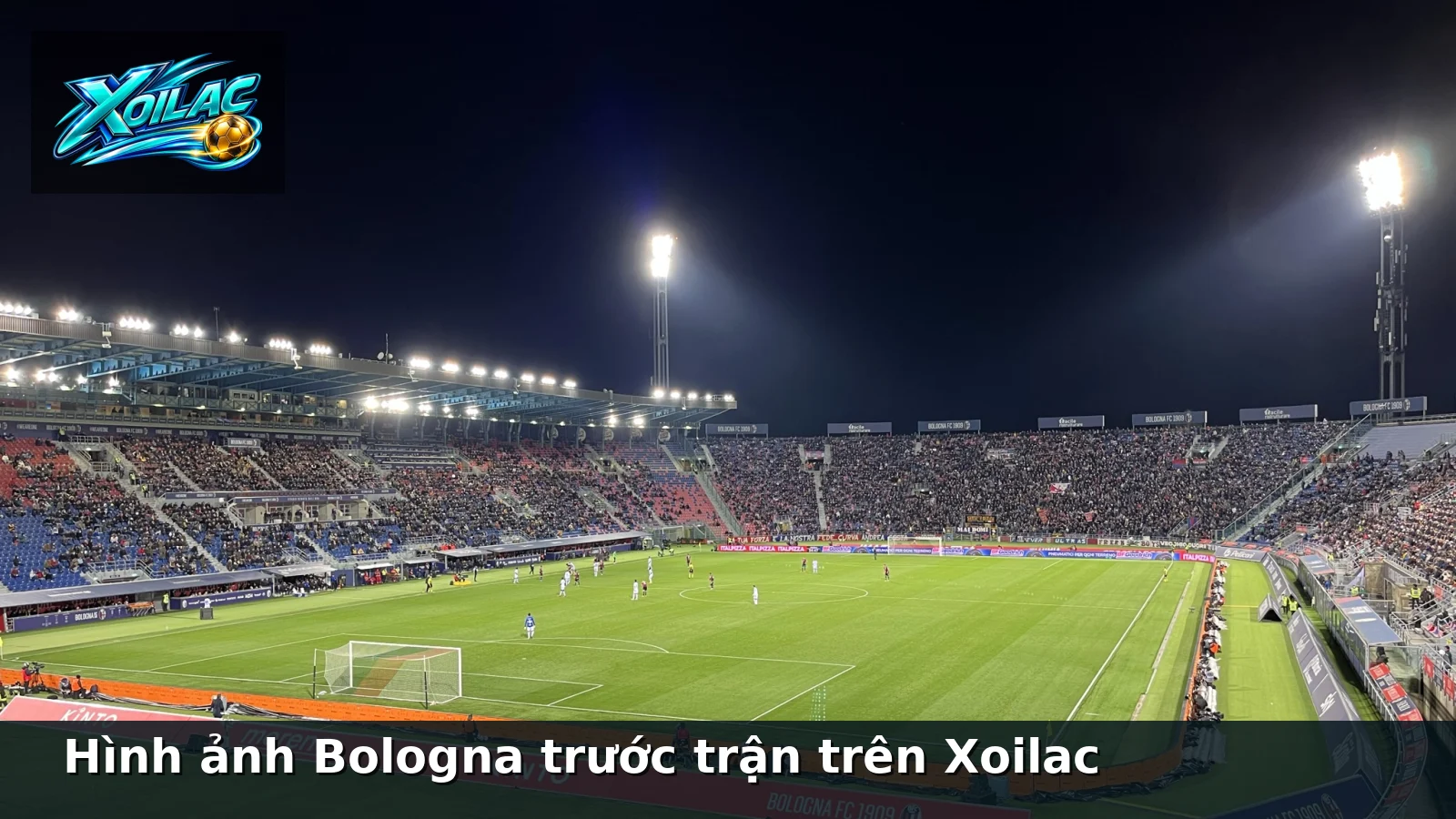 Hình ảnh Bologna trước trận trên Xoilac